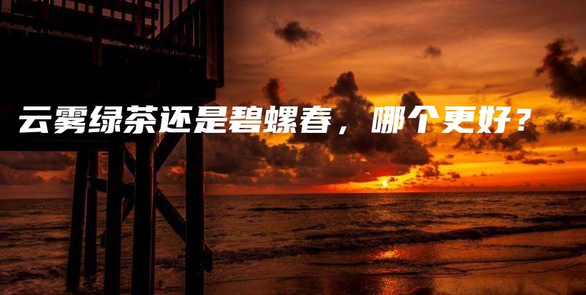 云霧綠茶還是碧螺春，哪個(gè)更好？插圖