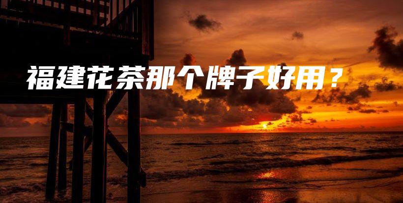 福建花茶那個(gè)牌子好用？插圖
