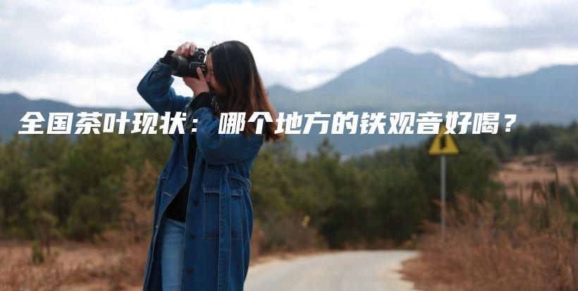 全國(guó)茶葉現(xiàn)狀：哪個(gè)地方的鐵觀音好喝？插圖