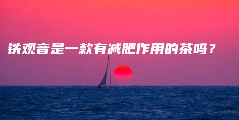 鐵觀音是一款有減肥作用的茶嗎？插圖