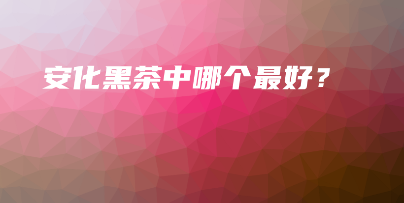 安化黑茶中哪個最好？插圖