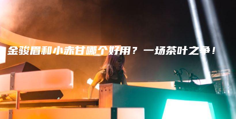 金駿眉和小赤甘哪個好用？一場茶葉之爭！插圖