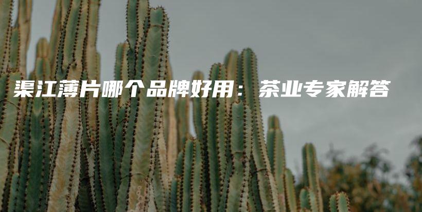 渠江薄片哪個(gè)品牌好用：茶業(yè)專家解答插圖