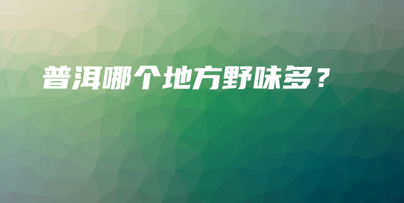 普洱哪個地方野味多？插圖