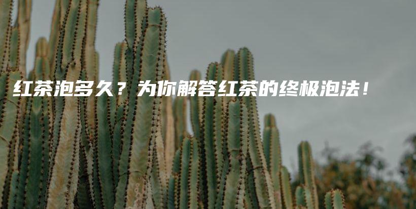 紅茶泡多久？為你解答紅茶的終極泡法！插圖