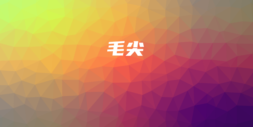 毛尖插圖