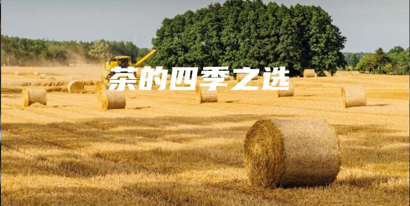茶的四季之選插圖