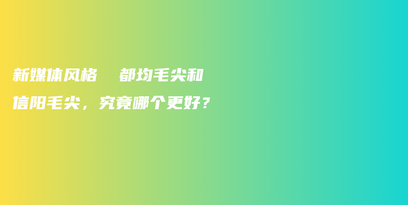 新媒體風(fēng)格  都均毛尖和信陽毛尖，究竟哪個更好？插圖