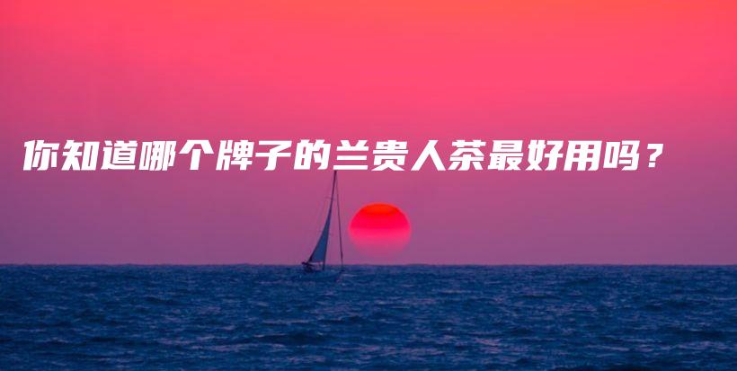 你知道哪個牌子的蘭貴人茶最好用嗎？插圖