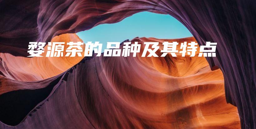 婺源茶的品種及其特點(diǎn)插圖