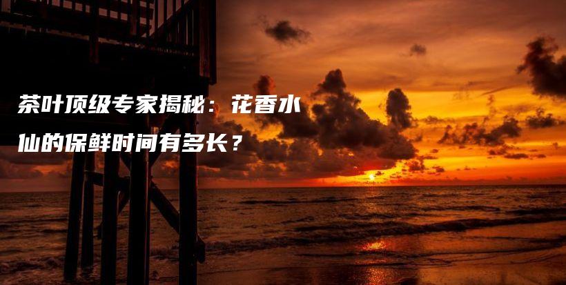 茶葉頂級專家揭秘：花香水仙的保鮮時間有多長？插圖