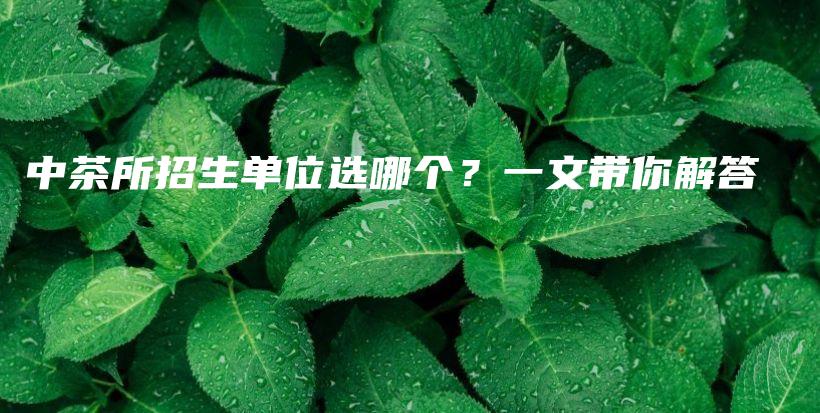 中茶所招生單位選哪個(gè)？一文帶你解答插圖
