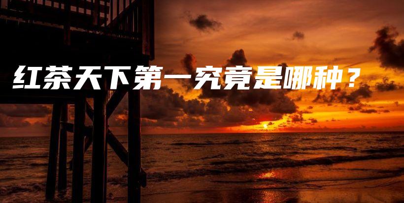 紅茶天下第一究竟是哪種？插圖