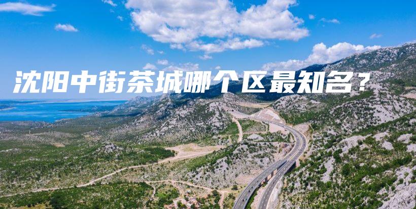 沈陽中街茶城哪個區(qū)最知名？插圖