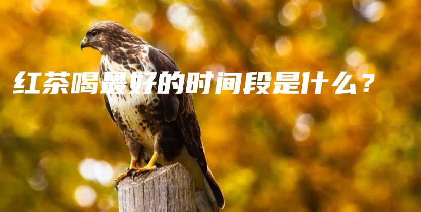 紅茶喝最好的時(shí)間段是什么？插圖