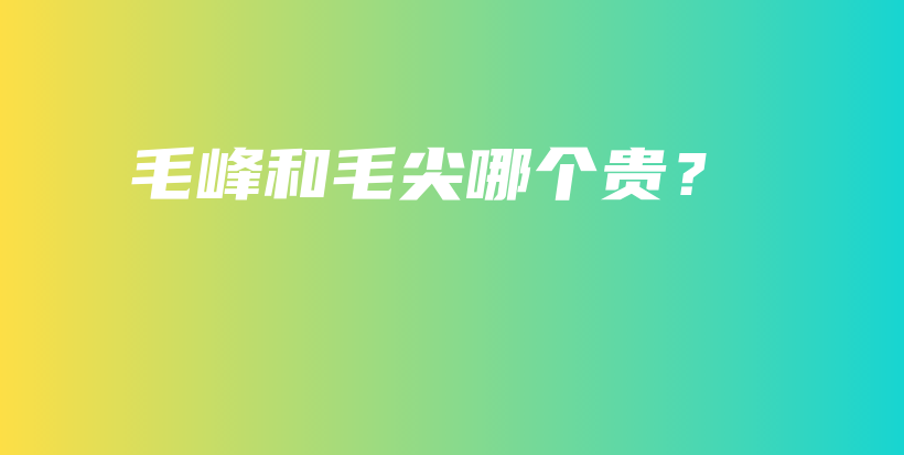毛峰和毛尖哪個貴？插圖