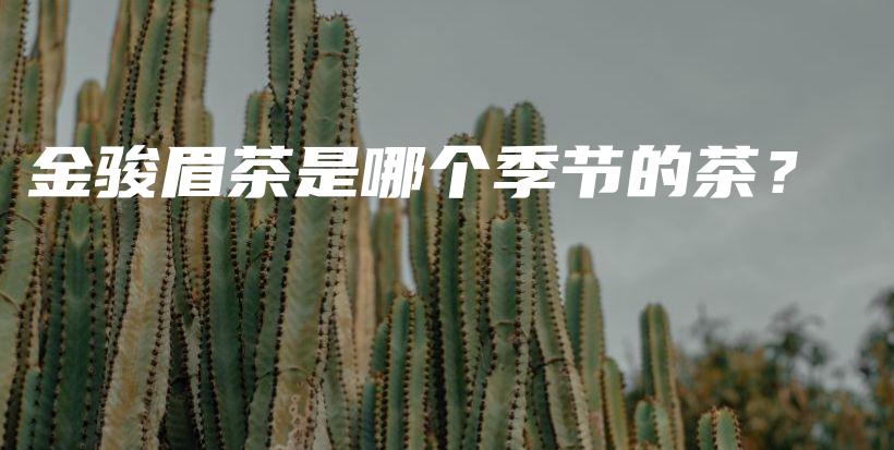金駿眉茶是哪個季節(jié)的茶？插圖