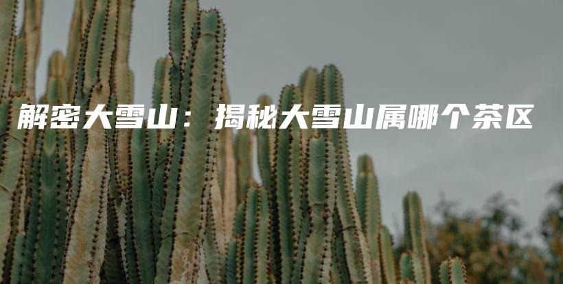解密大雪山：揭秘大雪山屬哪個茶區(qū)插圖