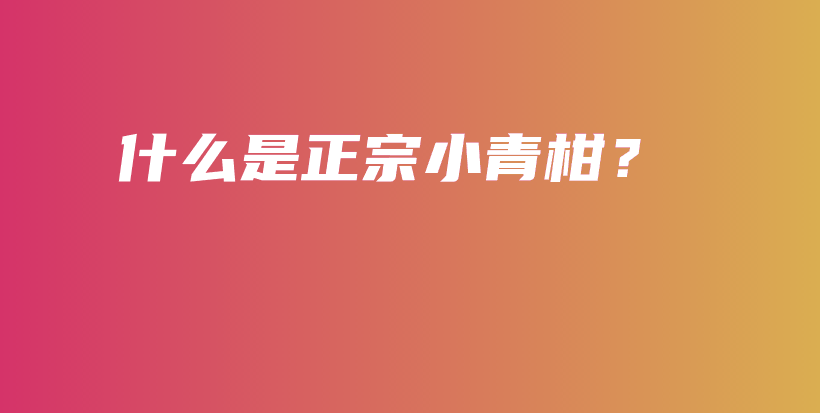 什么是正宗小青柑？插圖
