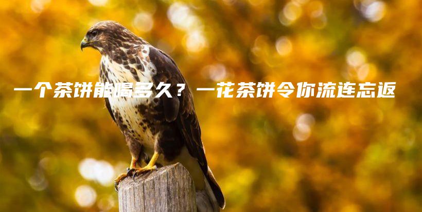 一個(gè)茶餅?zāi)芎榷嗑茫恳换ú栾灹钅懔鬟B忘返插圖