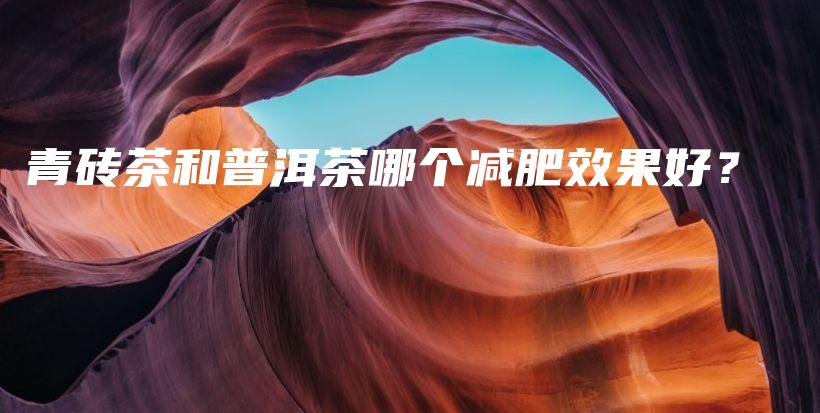 青磚茶和普洱茶哪個減肥效果好？插圖