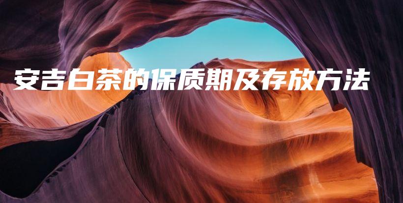 安吉白茶的保質(zhì)期及存放方法插圖