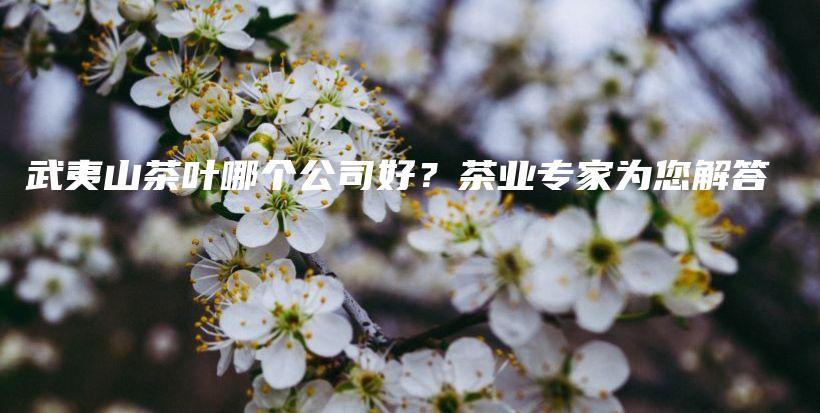 武夷山茶葉哪個(gè)公司好？茶業(yè)專家為您解答插圖