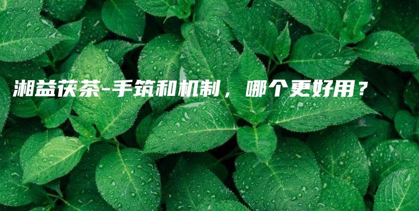 湘益茯茶-手筑和機制，哪個更好用？插圖