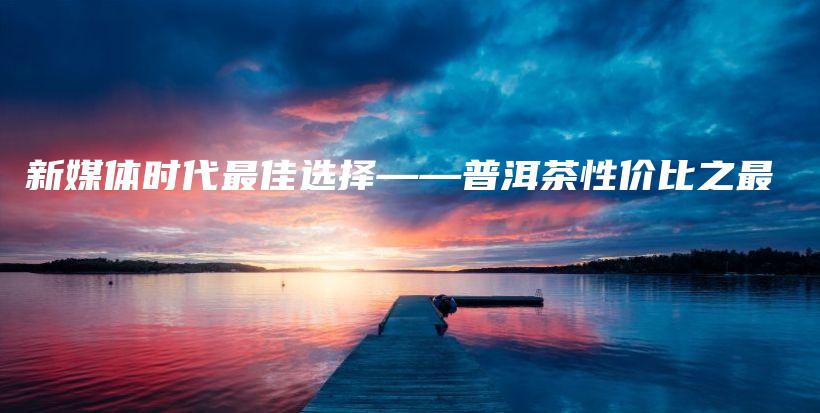新媒體時代最佳選擇——普洱茶性價比之最插圖