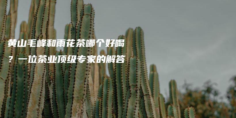 黃山毛峰和雨花茶哪個(gè)好喝？一位茶業(yè)頂級(jí)專家的解答插圖