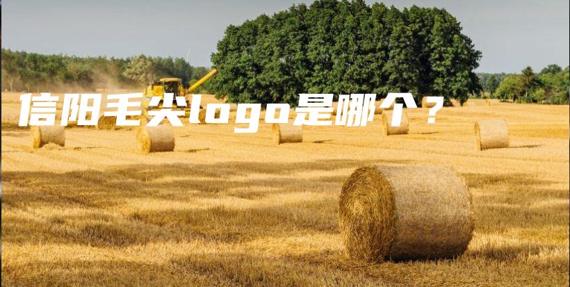 信陽(yáng)毛尖logo是哪個(gè)？插圖