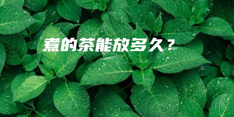 煮的茶能放多久？插圖