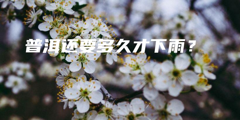 普洱還要多久才下雨？插圖