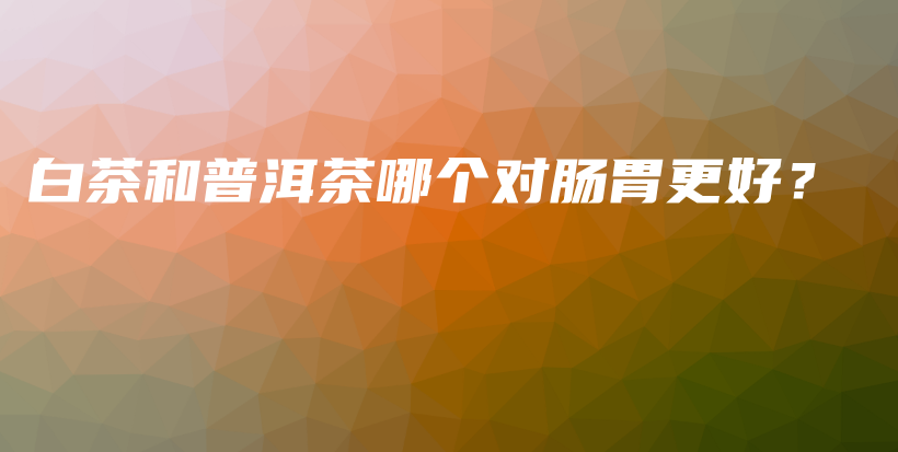 白茶和普洱茶哪個(gè)對腸胃更好？插圖