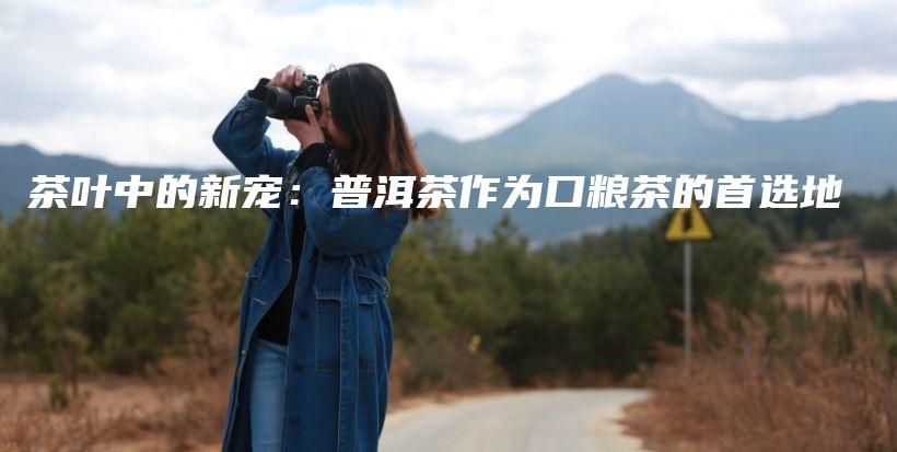 茶葉中的新寵：普洱茶作為口糧茶的首選地插圖