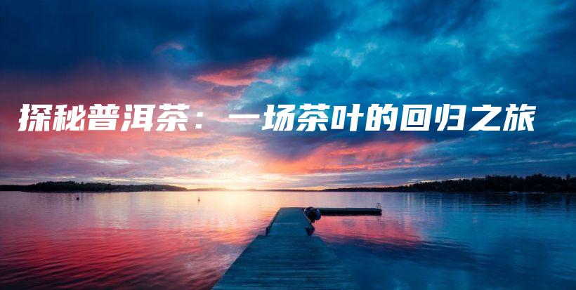 探秘普洱茶：一場(chǎng)茶葉的回歸之旅插圖