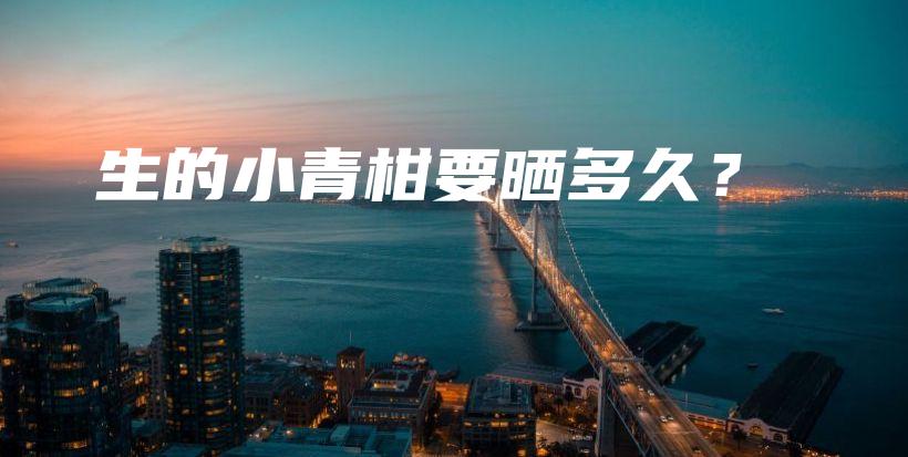 生的小青柑要曬多久？插圖
