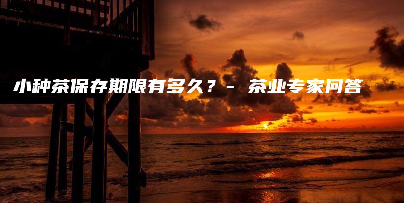小種茶保存期限有多久？- 茶業(yè)專家問答插圖