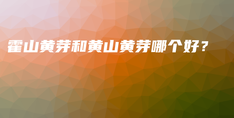 霍山黃芽和黃山黃芽哪個(gè)好？插圖