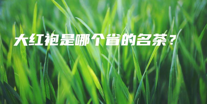 大紅袍是哪個省的名茶？插圖