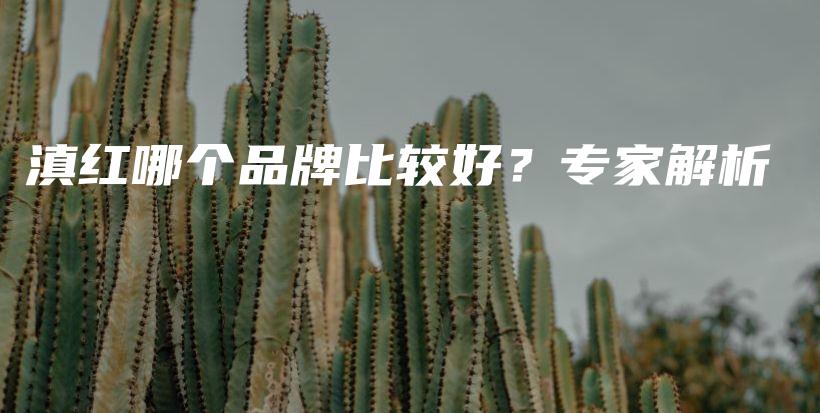 滇紅哪個(gè)品牌比較好？專(zhuān)家解析插圖
