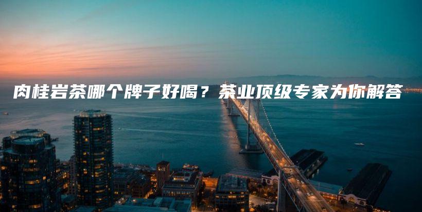 肉桂巖茶哪個(gè)牌子好喝？茶業(yè)頂級(jí)專家為你解答插圖
