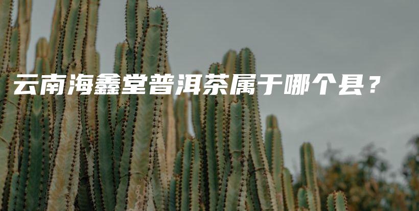 云南海鑫堂普洱茶屬于哪個縣？插圖