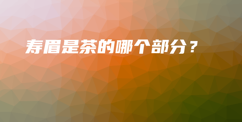 壽眉是茶的哪個(gè)部分？插圖