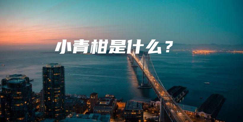 小青柑是什么？插圖