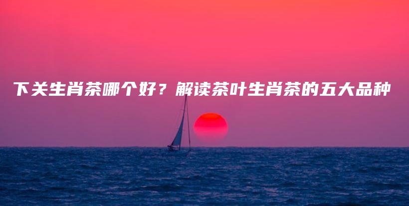 下關生肖茶哪個好？解讀茶葉生肖茶的五大品種插圖