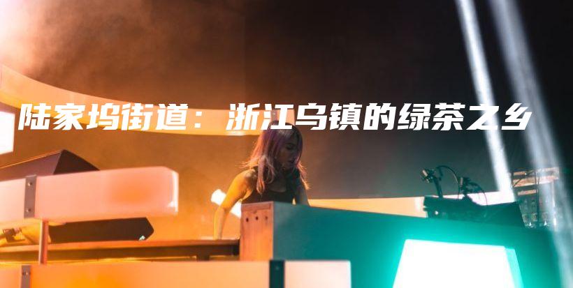 陸家塢街道：浙江烏鎮(zhèn)的綠茶之鄉(xiāng)插圖