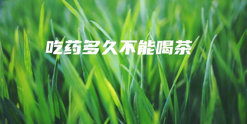 吃藥多久不能喝茶插圖