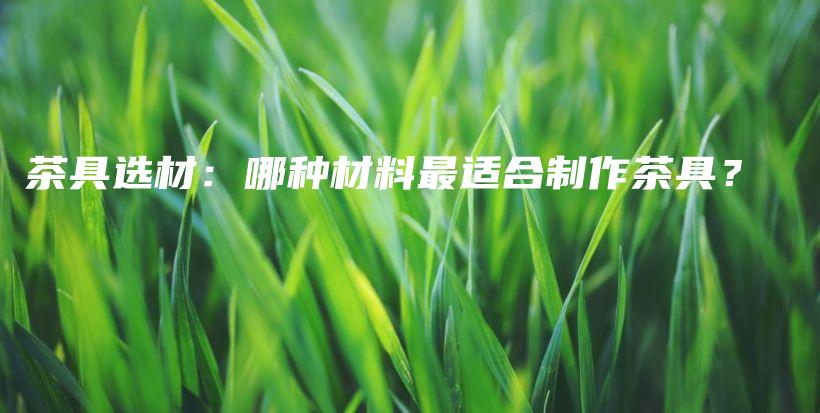 茶具選材：哪種材料最適合制作茶具？插圖