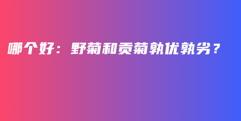 哪個(gè)好：野菊和貢菊孰優(yōu)孰劣？插圖